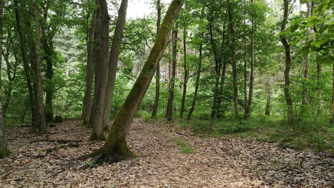 Willa Ferienhaus Dora Rechlin Zewnętrze zdjęcie