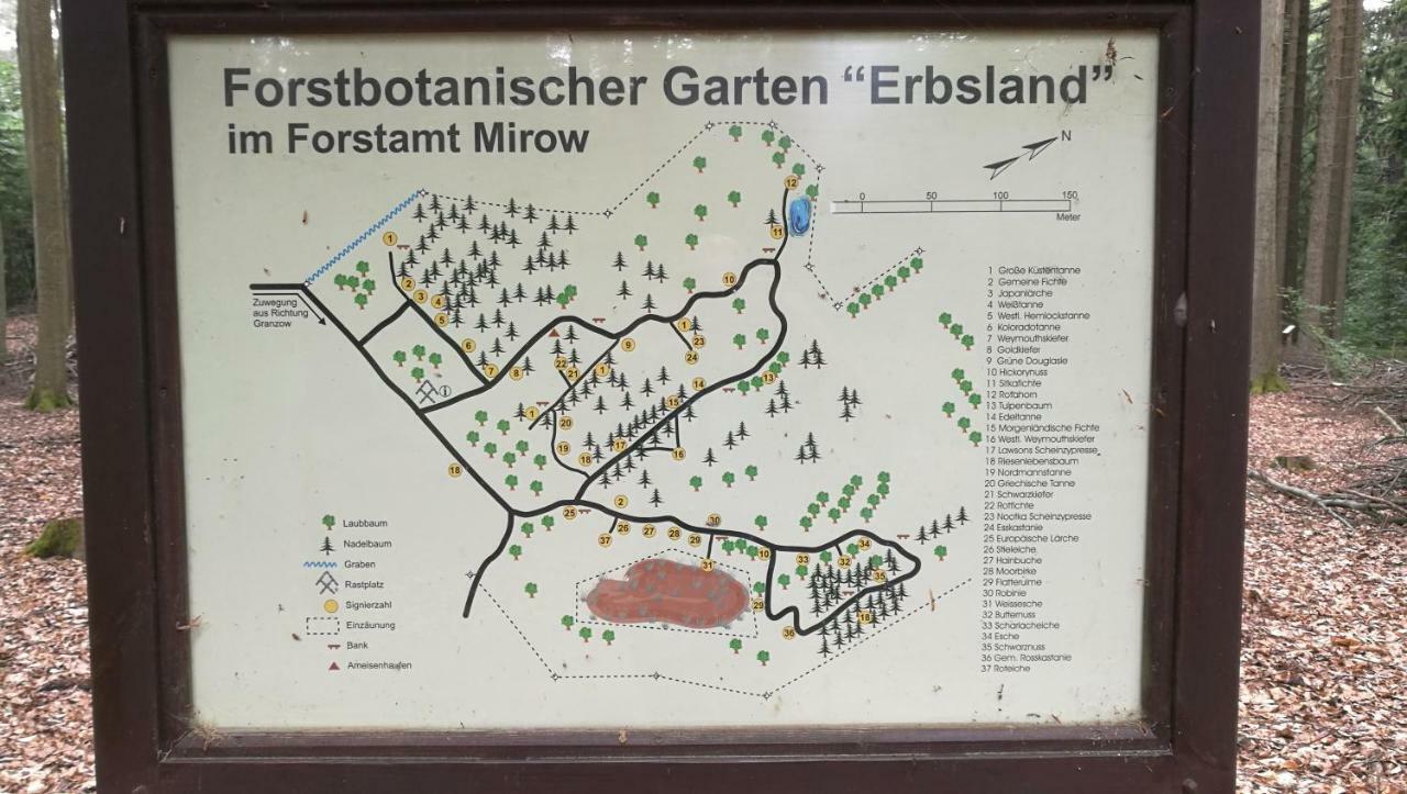 Ferienhaus Dora Rechlin Zewnętrze zdjęcie