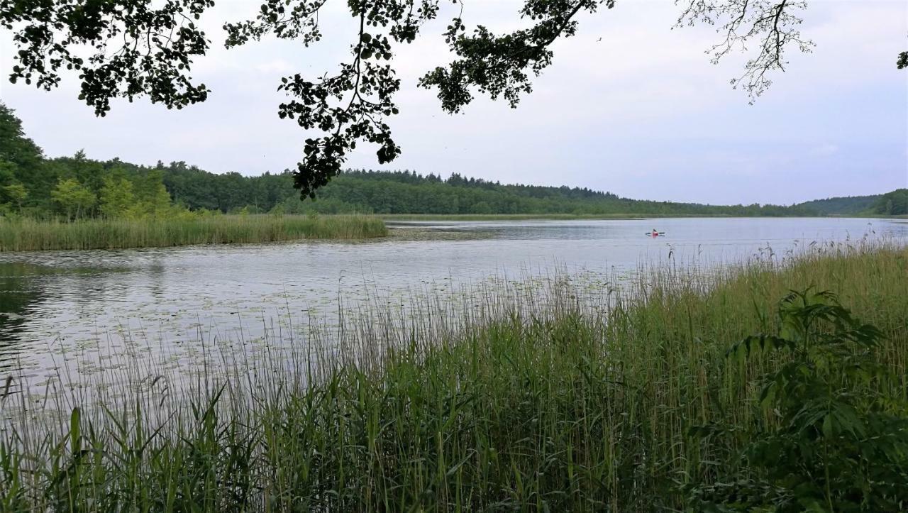 Ferienhaus Dora Rechlin Zewnętrze zdjęcie